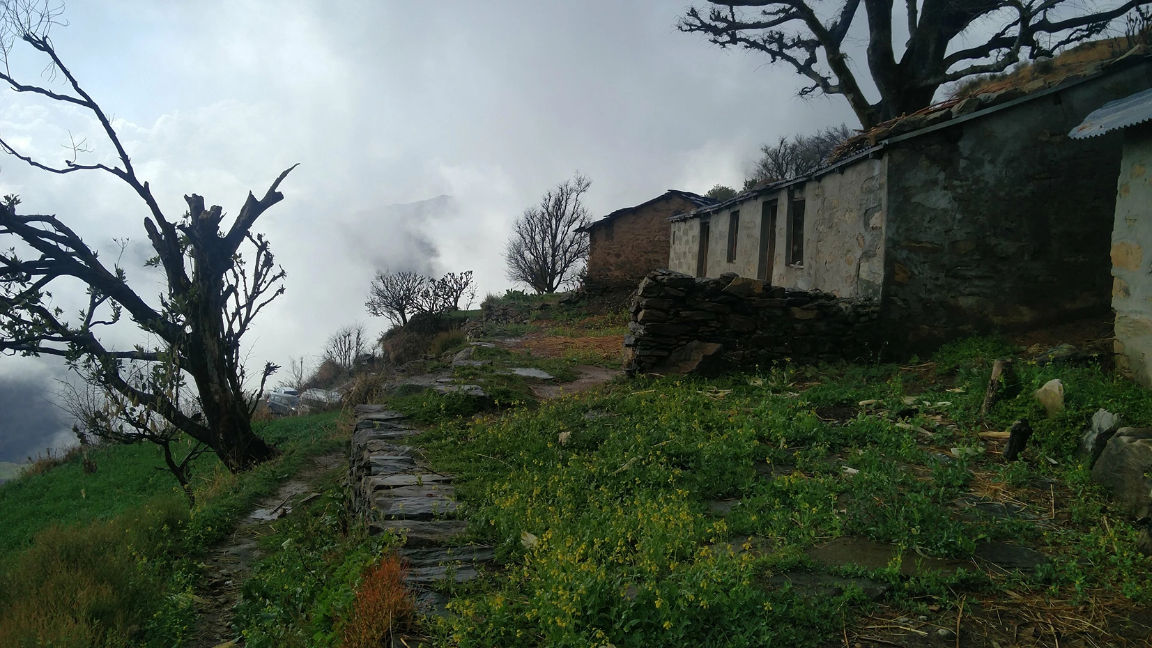 Pantwari - Nag Tibba Base - Summit